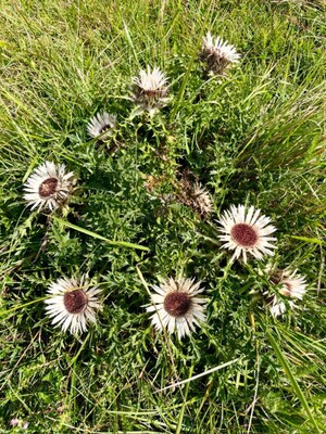 Bild 13_15pr5noaeyl1f.jpg